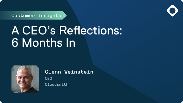 A CEO's Reflections: 6 Months In